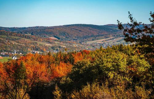 Pod Wawrzką - Photo 15