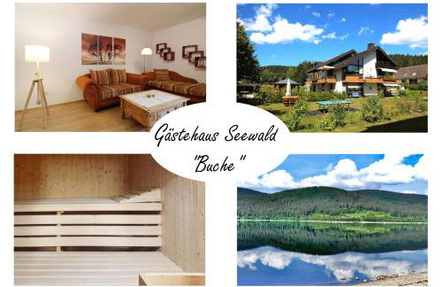 Gästehaus Seewald- Ferienwohnung 5 "Buche", Schluchsee, Blasiwald - Foto 1