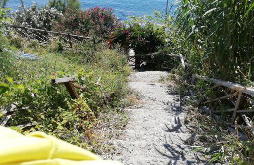 B&B Centro Storico 900 - Photo 59