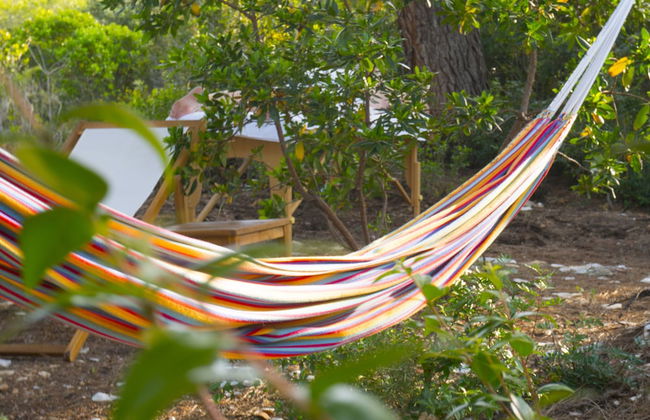 Victorious VIScovery Red - Foto 47