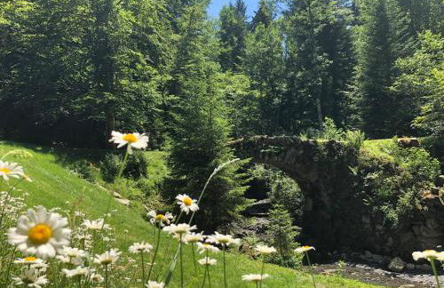 Le Moulin des Olirics - Photo 75