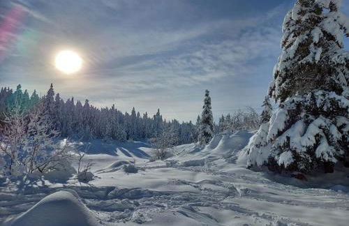 Studio Beethoven - Foto 38