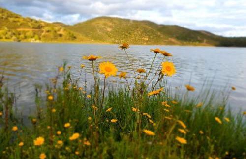 Clube Maria Luisa - Foto 93