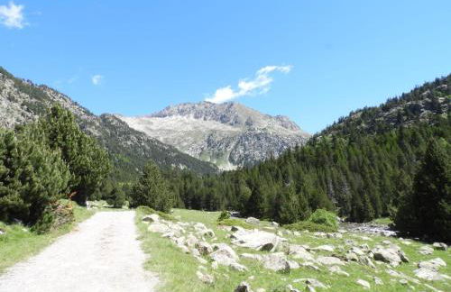 UNIQUE EXPERIENCE - Boí-Taüll Apartment - Foto 36