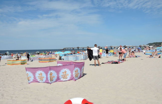 Modern Wood House in Rewal With a Terrace - Photo 62