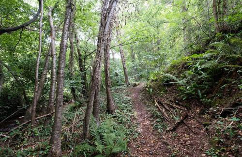 Luxury Cottage near Hay-on-Wye - Foto 78