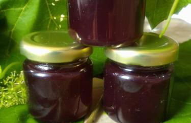 Kleines Häuschen am RheinSteig - Foto 20