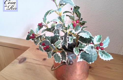 Cesa da Riz - Foto 19