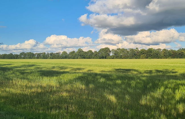 4 Star Holiday Home in Ansager - Foto 21