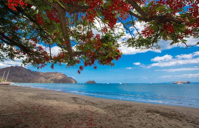 Impressively designed and decorated 3rd-floor space overlooking pool in Coco - Photo 55