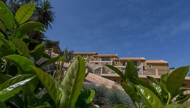 Mostrador de check-in y check-out