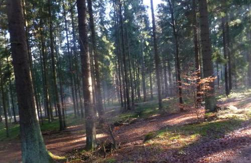 Ferienhaus Chalet 9 Blockhaus Bayern - Photo 15