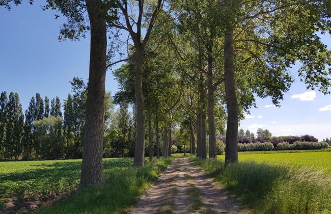 Cozy Family Home in Oostkamp - Foto 35