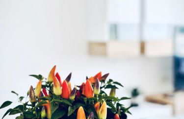 Casa Natura Oasis - Foto 33