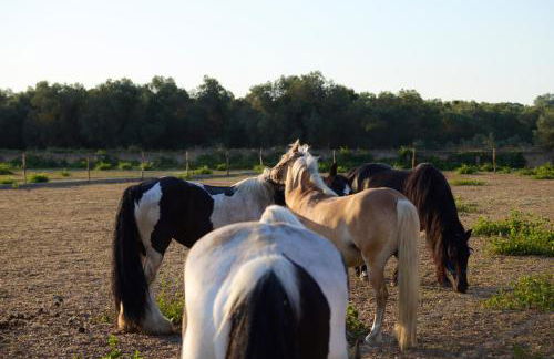 Villetta nel cuore del Salento - Foto 14