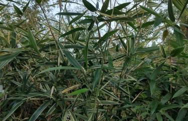 Gite des 2 chênes entre Avenue verte, Lacs, Piscine et Casino - Foto 27