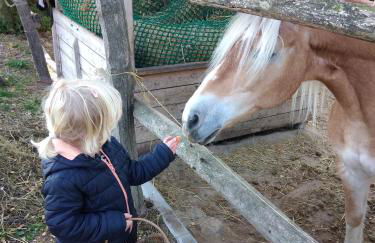 Wilde Möhre Bauwagen Sommerküche Draussen Abenteuer - Photo 31