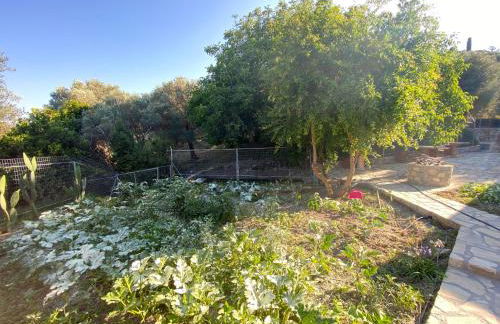 Villa Daskalogianni - Foto 36