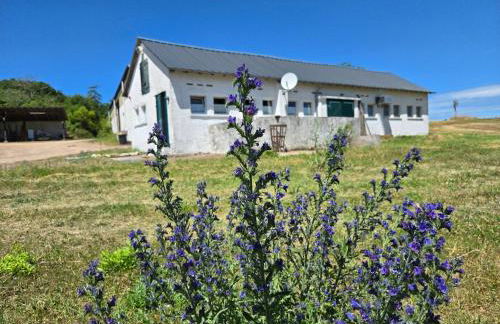 Appartement am Landhaus - Photo 1