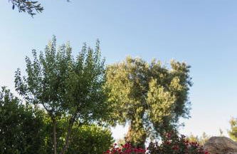 Villa Il Mio Paradiso - Foto 25