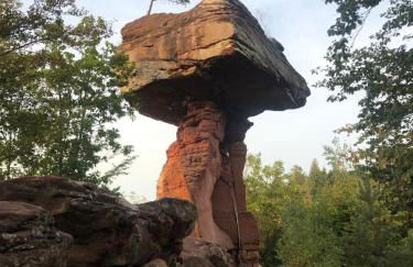 Ferienhaus zur Glockenhornquelle - Foto 2