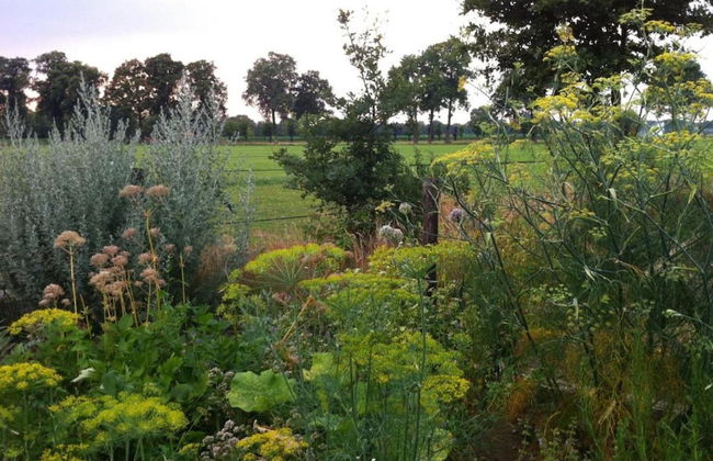 Wellness Forest Retreat - Photo 28