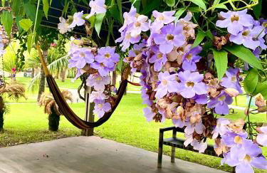 Vg sun cumbuco by D&F - Foto 60