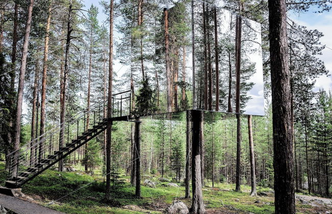 Tree Hotel - Foto 22