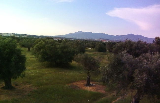 Vintage house - Foto 1