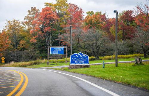 Leaf Peeper's - HUGE deck, pizza oven, Pac-man! - Photo 73