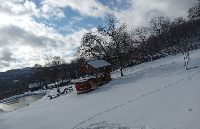 Room in Guest Room - Healthy Retreat Holiday in Mountain - Foto 76
