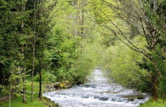 Alpska kuća Lucy - Foto 21