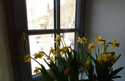 Gîte Carcasso - Photo 65