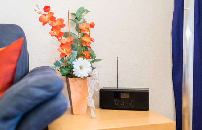 Sonnenblume (B615) - Foto 9