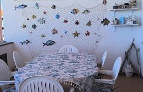 la farfalla blu sul mare - Foto 13