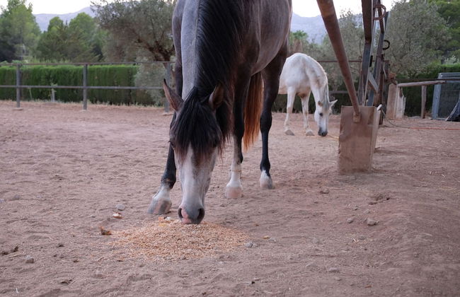 Casa Rural Aire - Foto 15