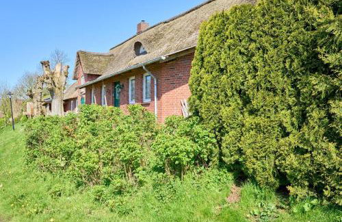 Reetdachhaus Sünsbarg - Foto 23