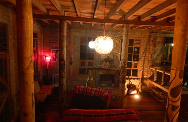 Dogs and Fish Dream Land - Foto 24