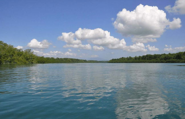 Balade en bateau sur l'île de Damas - Photo 8