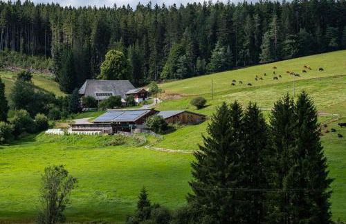 Lippenhof - Unter der Linde - Foto 25