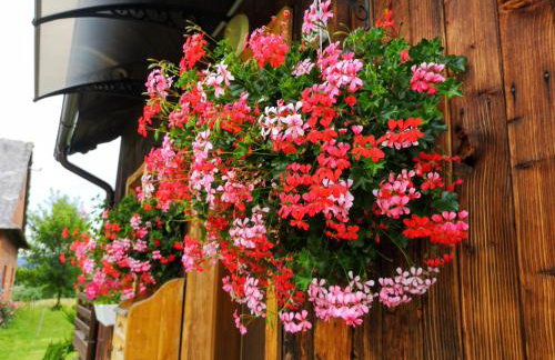 Wieś odNowa - Photo 37