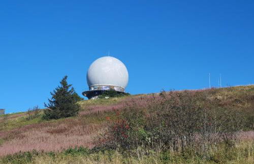 FeWo am Mühlbach - Foto 20