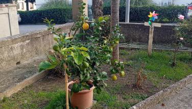 La Casina di Lalu' - Foto 4