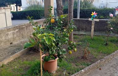 La Casina di Lalu' - Foto 4