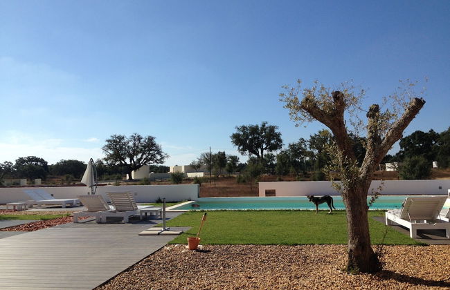 Tons da Terra - Foto 60