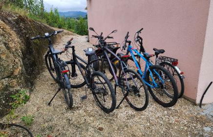 Solar Rubina - Piscina Água Salgada - Foto 23