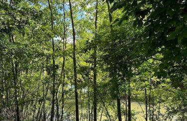 Woodlands Luxury Lake Log Cabin - Vetiver Villa - Foto 24