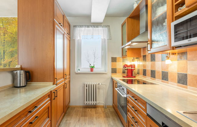 Desná v Jizerských horách - Foto 16