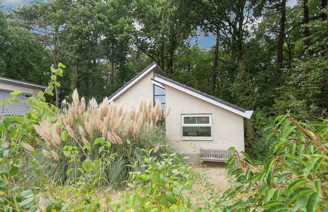 Elite Holiday Home in North Holland near Forest - Foto 12
