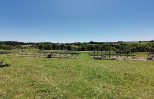 Gîte Le Pressoir - Photo 30